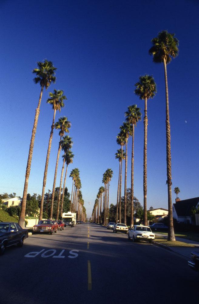 burbank- fix med spa
